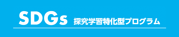 SDGs 探究学習特化型プログラム