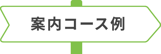 案内コース例